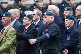Remembrance Sunday at the Cenotaph 2015: Group C16, RAFSE(s) Assoc (New for 2015).
Cenotaph, Whitehall, London SW1,
London,
Greater London,
United Kingdom,
on 08 November 2015 at 11:49, image #520