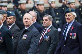 Remembrance Sunday at the Cenotaph 2015: Group C17, Royal Air Force Movements and Mobile Air Movements Squadron Association (RAF MAMS) (New for 2015).
Cenotaph, Whitehall, London SW1,
London,
Greater London,
United Kingdom,
on 08 November 2015 at 11:49, image #524