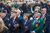Remembrance Sunday at the Cenotaph 2015: Group D1, Not Forgotten Association.
Cenotaph, Whitehall, London SW1,
London,
Greater London,
United Kingdom,
on 08 November 2015 at 11:51, image #581