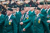 Remembrance Sunday at the Cenotaph 2015: Group D3, Ulster Defence Regiment.
Cenotaph, Whitehall, London SW1,
London,
Greater London,
United Kingdom,
on 08 November 2015 at 11:51, image #594