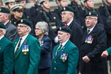 Remembrance Sunday at the Cenotaph 2015: Group D3, Ulster Defence Regiment.
Cenotaph, Whitehall, London SW1,
London,
Greater London,
United Kingdom,
on 08 November 2015 at 11:51, image #600