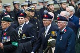 Remembrance Sunday at the Cenotaph 2015: Group D5, North Irish Horse & Irish Regiments Old Comrades
Association.
Cenotaph, Whitehall, London SW1,
London,
Greater London,
United Kingdom,
on 08 November 2015 at 11:52, image #613