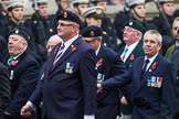 Remembrance Sunday at the Cenotaph 2015: Group D10, South Atlantic Medal Association.
Cenotaph, Whitehall, London SW1,
London,
Greater London,
United Kingdom,
on 08 November 2015 at 11:53, image #634