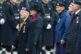 Remembrance Sunday at the Cenotaph 2015: Group D13, Association of Jewish Ex-Servicemen & Women.
Cenotaph, Whitehall, London SW1,
London,
Greater London,
United Kingdom,
on 08 November 2015 at 11:53, image #645