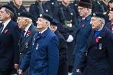 Remembrance Sunday at the Cenotaph 2015: Group D13, Association of Jewish Ex-Servicemen & Women.
Cenotaph, Whitehall, London SW1,
London,
Greater London,
United Kingdom,
on 08 November 2015 at 11:53, image #650