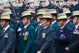 Remembrance Sunday at the Cenotaph 2015: Group D17, British Gurkha Welfare Society.
Cenotaph, Whitehall, London SW1,
London,
Greater London,
United Kingdom,
on 08 November 2015 at 11:54, image #698