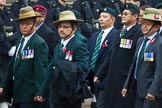 Remembrance Sunday at the Cenotaph 2015: Group D17, British Gurkha Welfare Society.
Cenotaph, Whitehall, London SW1,
London,
Greater London,
United Kingdom,
on 08 November 2015 at 11:54, image #700
