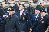 Remembrance Sunday at the Cenotaph 2015: Group E14, Algerines Association.
Cenotaph, Whitehall, London SW1,
London,
Greater London,
United Kingdom,
on 08 November 2015 at 12:00, image #876