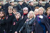 Remembrance Sunday at the Cenotaph 2015: Group E17, Queen Alexandra's Royal Naval Nursing Service.
Cenotaph, Whitehall, London SW1,
London,
Greater London,
United Kingdom,
on 08 November 2015 at 12:00, image #891