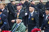 Remembrance Sunday at the Cenotaph 2015: Group F18, Memorable Order of Tin Hats.
Cenotaph, Whitehall, London SW1,
London,
Greater London,
United Kingdom,
on 08 November 2015 at 12:06, image #1098
