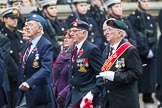 Remembrance Sunday at the Cenotaph 2015: Group F19, Suez Veterans Association.
Cenotaph, Whitehall, London SW1,
London,
Greater London,
United Kingdom,
on 08 November 2015 at 12:06, image #1102