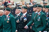 Remembrance Sunday at the Cenotaph 2015: Group A1, 1LI Association.
Cenotaph, Whitehall, London SW1,
London,
Greater London,
United Kingdom,
on 08 November 2015 at 12:07, image #1151