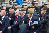 Remembrance Sunday at the Cenotaph 2015: Group A10, Grenadier Guards Association.
Cenotaph, Whitehall, London SW1,
London,
Greater London,
United Kingdom,
on 08 November 2015 at 12:10, image #1253