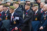 Remembrance Sunday at the Cenotaph 2015: Group A10, Grenadier Guards Association.
Cenotaph, Whitehall, London SW1,
London,
Greater London,
United Kingdom,
on 08 November 2015 at 12:10, image #1254