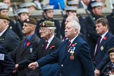 Remembrance Sunday at the Cenotaph 2015: Group A10, Grenadier Guards Association.
Cenotaph, Whitehall, London SW1,
London,
Greater London,
United Kingdom,
on 08 November 2015 at 12:10, image #1255