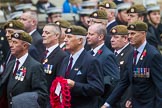 Remembrance Sunday at the Cenotaph 2015: v.
Cenotaph, Whitehall, London SW1,
London,
Greater London,
United Kingdom,
on 08 November 2015 at 12:11, image #1267