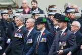 Remembrance Sunday at the Cenotaph 2015: Group A23, Cheshire Regiment Association.
Cenotaph, Whitehall, London SW1,
London,
Greater London,
United Kingdom,
on 08 November 2015 at 12:12, image #1350