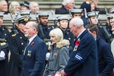Remembrance Sunday at the Cenotaph 2015: Group M14, London Ambulance Service Retirement Association.
Cenotaph, Whitehall, London SW1,
London,
Greater London,
United Kingdom,
on 08 November 2015 at 12:16, image #1496