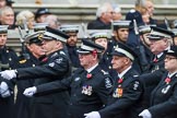 Remembrance Sunday at the Cenotaph 2015: Group M15, St John Ambulance.
Cenotaph, Whitehall, London SW1,
London,
Greater London,
United Kingdom,
on 08 November 2015 at 12:16, image #1503