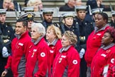 Remembrance Sunday at the Cenotaph 2015: Group M16, British Red Cross.
Cenotaph, Whitehall, London SW1,
London,
Greater London,
United Kingdom,
on 08 November 2015 at 12:16, image #1513
