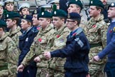 Remembrance Sunday at the Cenotaph 2015: Group M46, Sea Cadet Corps.
Cenotaph, Whitehall, London SW1,
London,
Greater London,
United Kingdom,
on 08 November 2015 at 12:20, image #1695