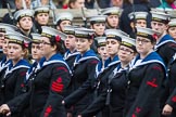 Remembrance Sunday at the Cenotaph 2015: Group M47, Combined Cadet Force.
Cenotaph, Whitehall, London SW1,
London,
Greater London,
United Kingdom,
on 08 November 2015 at 12:20, image #1701