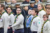 Remembrance Sunday at the Cenotaph 2015: Group M50, Scout Association.
Cenotaph, Whitehall, London SW1,
London,
Greater London,
United Kingdom,
on 08 November 2015 at 12:20, image #1723