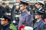 Remembrance Sunday at the Cenotaph 2015: Captain Frederick Moynan, equerry to Prince Philip, and in the foreground Wing Commander Sam Fletcher, RAF, equerry to The Queen. Image #162, 08 November 2015 11:03 Whitehall, London, UK