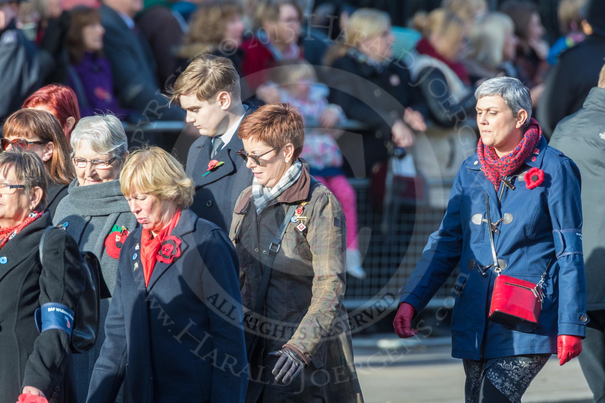 D17 Royal Navy and Royal Marines Widows Association