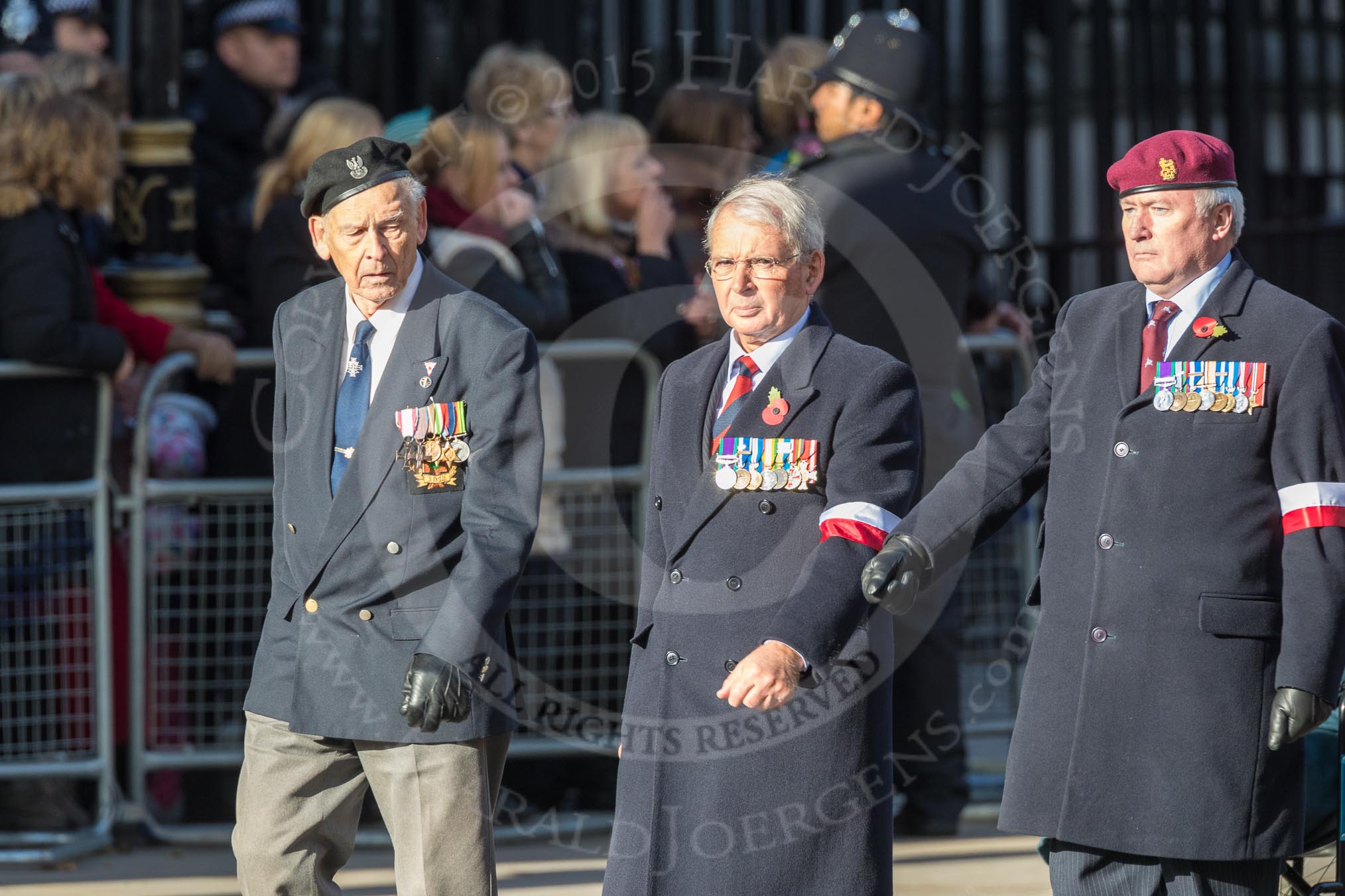 Polish Ex-Combatants Associationin Great Britain Trust Fund