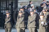March Past, Remembrance Sunday at the Cenotaph 2016: M38 Cheshire Special Constabulary.
Cenotaph, Whitehall, London SW1,
London,
Greater London,
United Kingdom,
on 13 November 2016 at 13:19, image #2917