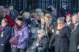 March Past, Remembrance Sunday at the Cenotaph 2016: M49 The British Evacuees Association.
Cenotaph, Whitehall, London SW1,
London,
Greater London,
United Kingdom,
on 13 November 2016 at 13:20, image #3012