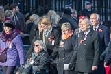 March Past, Remembrance Sunday at the Cenotaph 2016: M49 The British Evacuees Association.
Cenotaph, Whitehall, London SW1,
London,
Greater London,
United Kingdom,
on 13 November 2016 at 13:20, image #3014