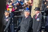 March Past, Remembrance Sunday at the Cenotaph 2016.
Cenotaph, Whitehall, London SW1,
London,
Greater London,
United Kingdom,
on 13 November 2016 at 12:29, image #346