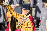 March Past, Remembrance Sunday at the Cenotaph 2016.
Cenotaph, Whitehall, London SW1,
London,
Greater London,
United Kingdom,
on 13 November 2016 at 12:32, image #348