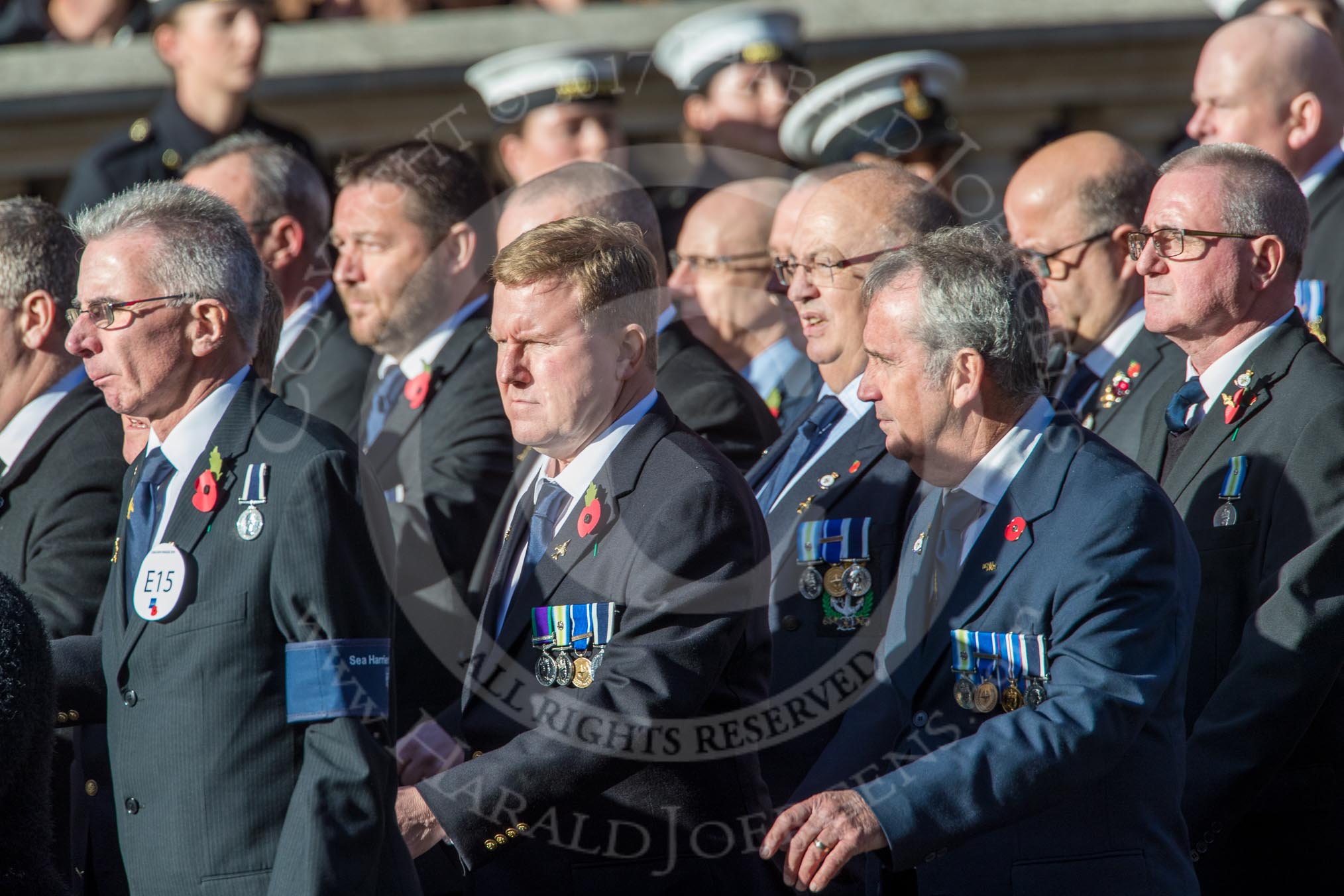 Sea Harrier (Group E15, 30 members) during the Royal British Legion March Past on Remembrance Sunday at the Cenotaph, Whitehall, Westminster, London, 11 November 2018, 11:43.