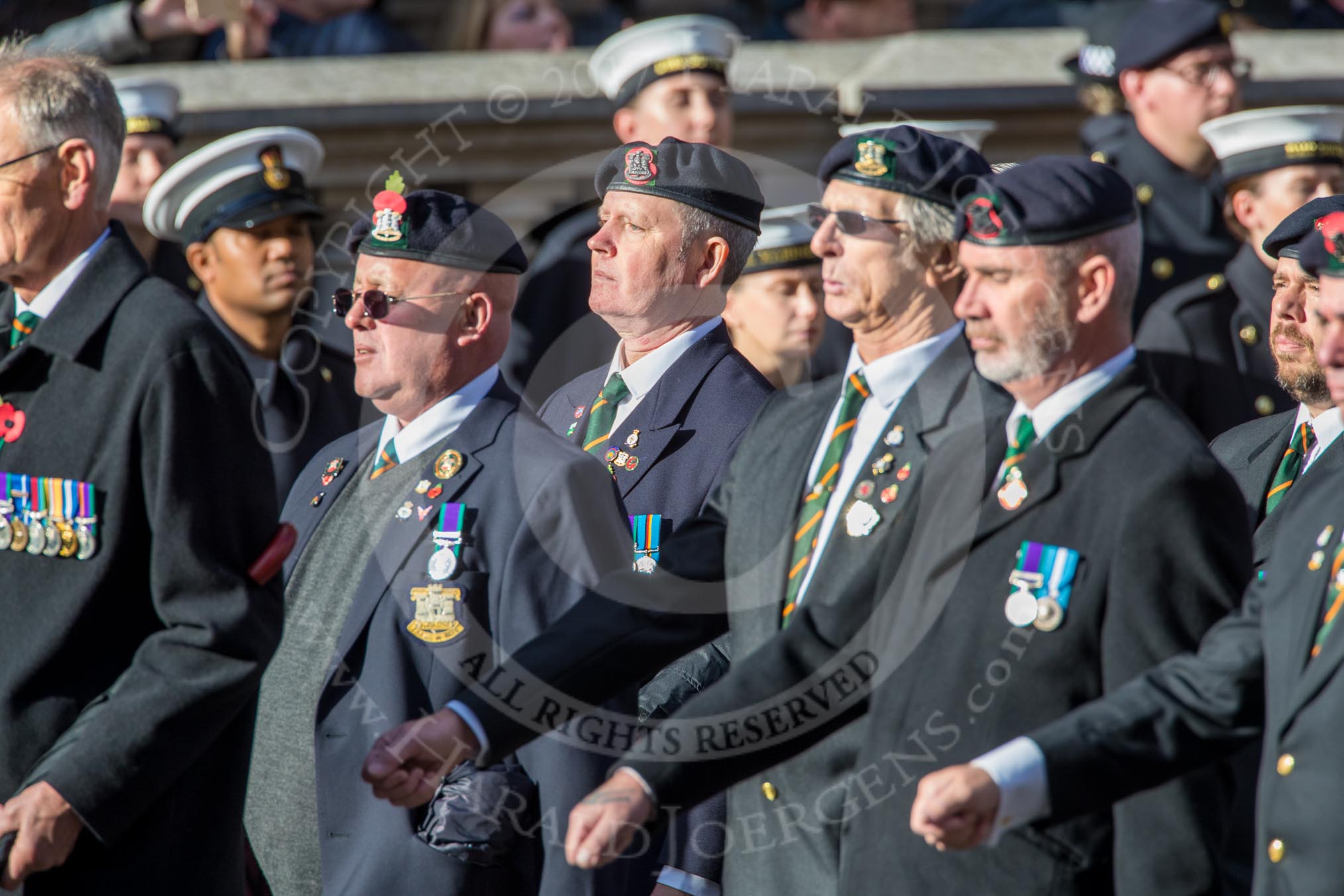 The Devonshire and Dorset Regimental Association (Group A33, 20 members) during the Royal British Legion March Past on Remembrance Sunday at the Cenotaph, Whitehall, Westminster, London, 11 November 2018, 12:02.
