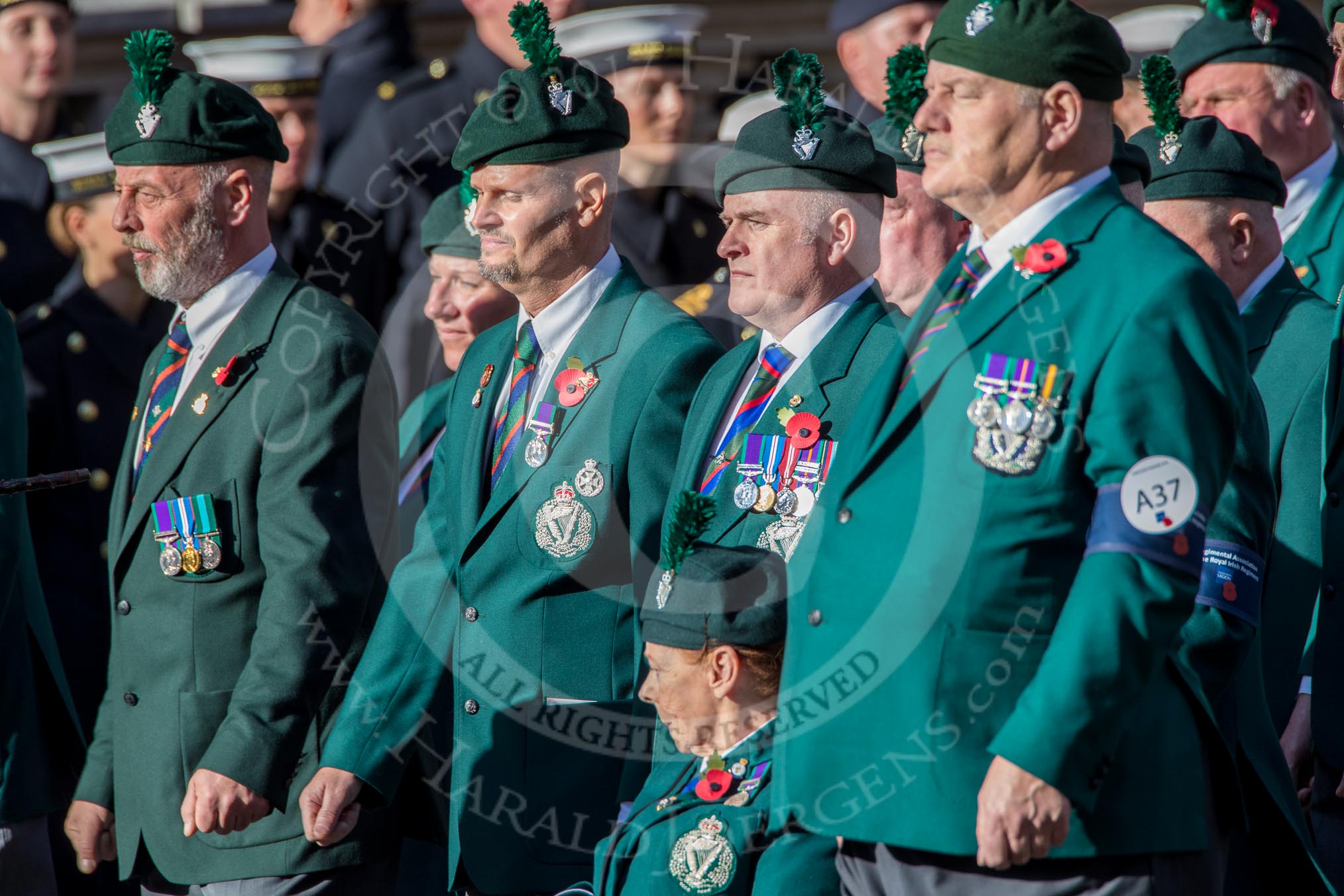 Regimental Association  of the Royal Irish Association (Group A37, 39 members) during the Royal British Legion March Past on Remembrance Sunday at the Cenotaph, Whitehall, Westminster, London, 11 November 2018, 12:02.