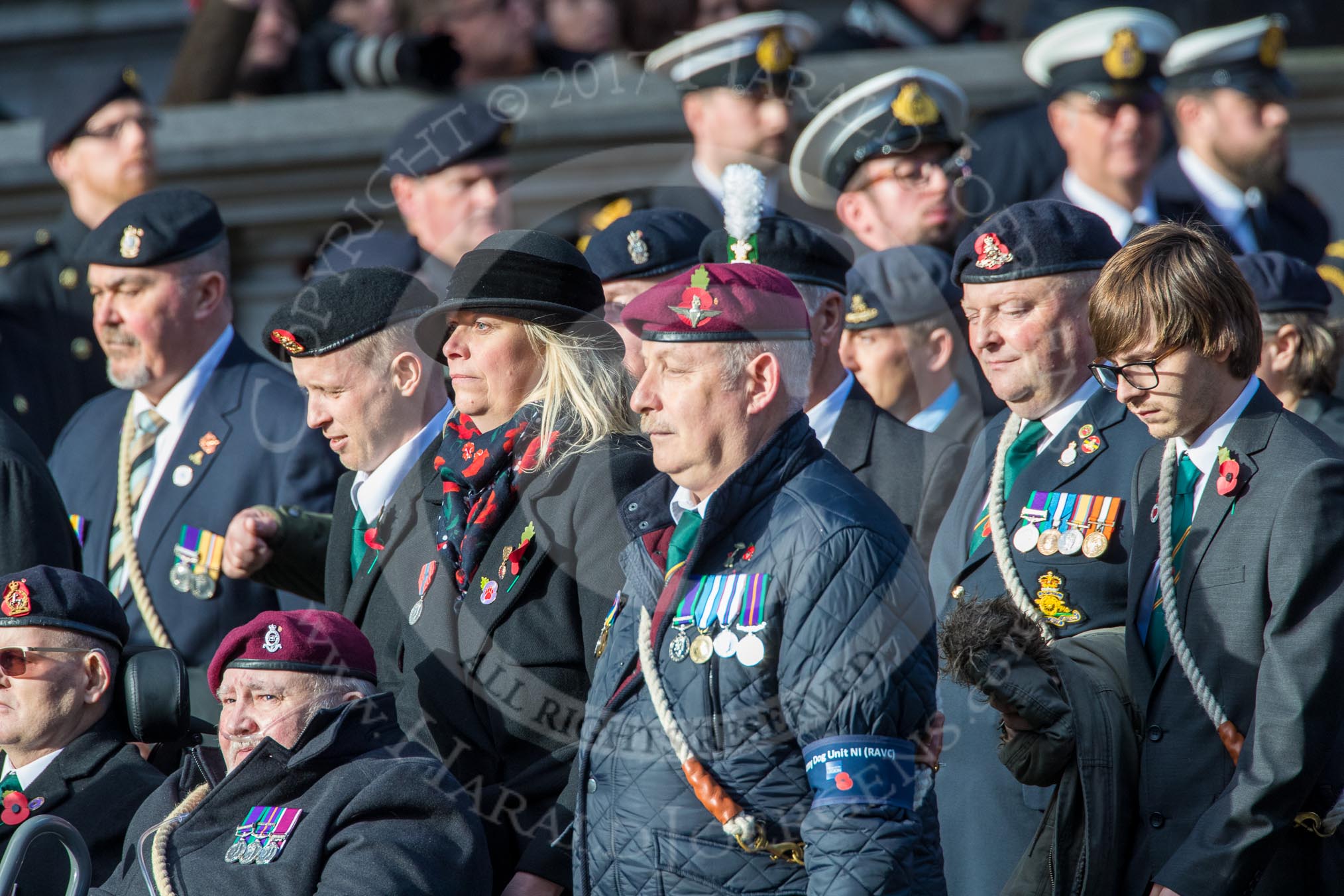 The Army Dog Unit Northern Ireland (RAVC) Association (Group B3, 38 members) during the Royal British Legion March Past on Remembrance Sunday at the Cenotaph, Whitehall, Westminster, London, 11 November 2018, 12:06.