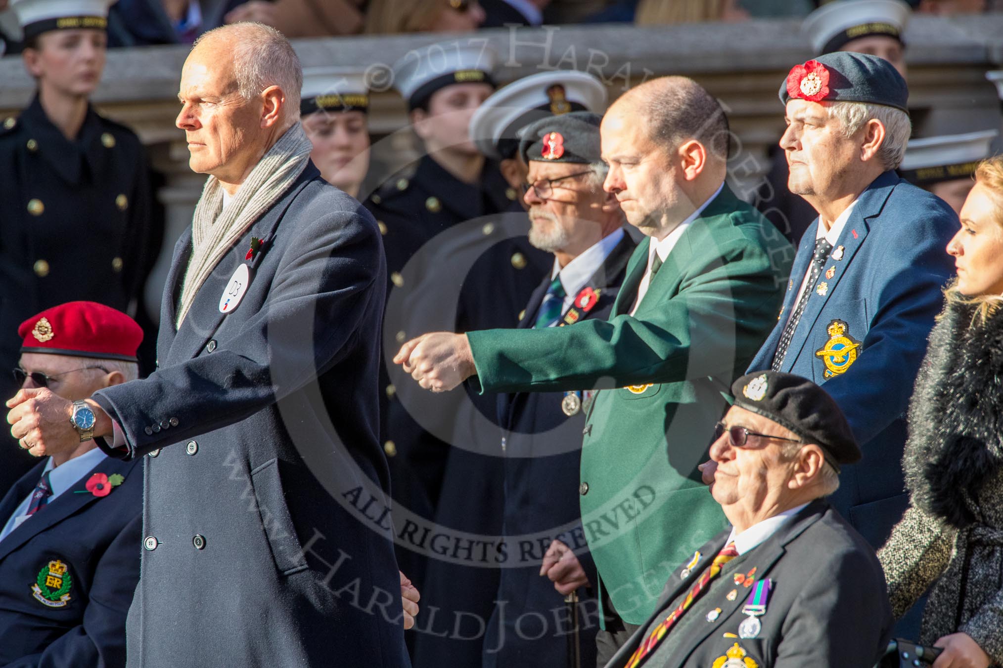 Stoll (Group D3, 18 members) during the Royal British Legion March Past on Remembrance Sunday at the Cenotaph, Whitehall, Westminster, London, 11 November 2018, 12:20.