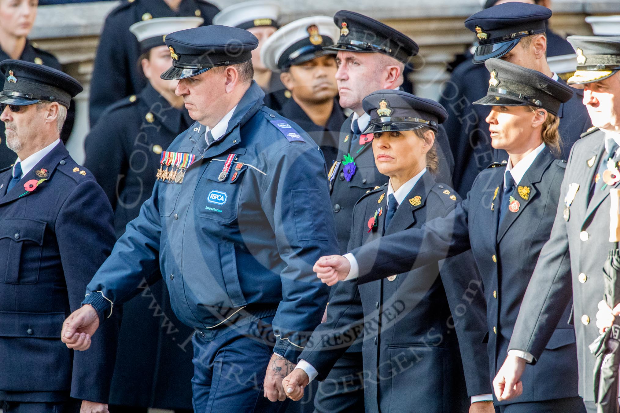 RSPCA (Group M19, 22 members) during the Royal British Legion March Past on Remembrance Sunday at the Cenotaph, Whitehall, Westminster, London, 11 November 2018, 12:27.