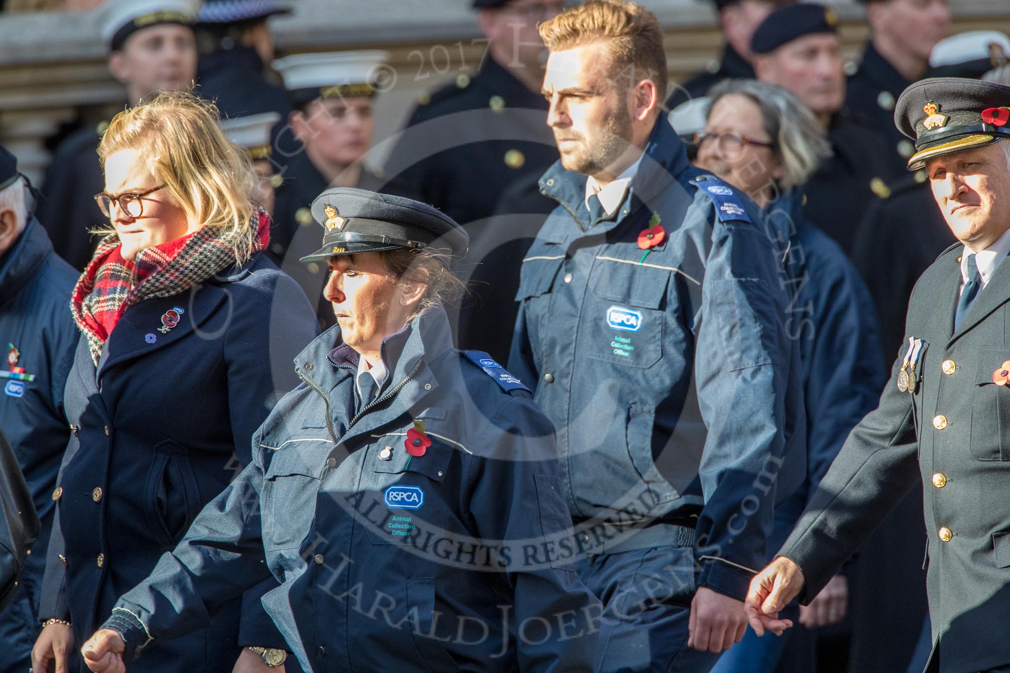 RSPCA (Group M19, 22 members) during the Royal British Legion March Past on Remembrance Sunday at the Cenotaph, Whitehall, Westminster, London, 11 November 2018, 12:27.