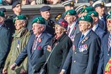 The Royal Marines Association  (Group E2, 59 members) during the Royal British Legion March Past on Remembrance Sunday at the Cenotaph, Whitehall, Westminster, London, 11 November 2018, 11:41.