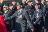 The Royal Marines Association  (Group E2, 59 members) during the Royal British Legion March Past on Remembrance Sunday at the Cenotaph, Whitehall, Westminster, London, 11 November 2018, 11:41.