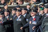 Aircrewmans Association  (Group E5, 44 members) during the Royal British Legion March Past on Remembrance Sunday at the Cenotaph, Whitehall, Westminster, London, 11 November 2018, 11:42.