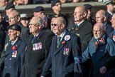 Fleet Air Arm Armourers Association  (Group E6, 27 members) during the Royal British Legion March Past on Remembrance Sunday at the Cenotaph, Whitehall, Westminster, London, 11 November 2018, 11:42.