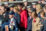 HMS Glorious, Ardent & Acasta Association  (GLARAC) Association (Group E17, 27 members) during the Royal British Legion March Past on Remembrance Sunday at the Cenotaph, Whitehall, Westminster, London, 11 November 2018, 11:43.