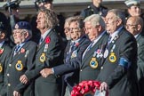 HMS Andromeda Association  (Group E18, 19 members) during the Royal British Legion March Past on Remembrance Sunday at the Cenotaph, Whitehall, Westminster, London, 11 November 2018, 11:43.