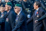 Royal Naval Medical Branch Ratings and Sick Berth Staff Association   (Group E35, 24 members) during the Royal British Legion March Past on Remembrance Sunday at the Cenotaph, Whitehall, Westminster, London, 11 November 2018, 11:45.