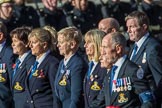 Royal Navy Physical Training Branch Association  (Group E41, 37 members) during the Royal British Legion March Past on Remembrance Sunday at the Cenotaph, Whitehall, Westminster, London, 11 November 2018, 11:46.